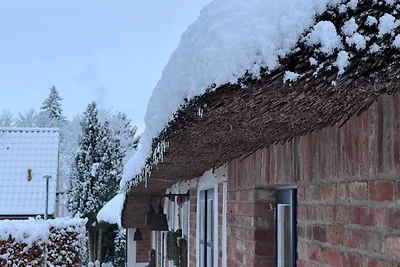 Ferien unterm Reetdach
