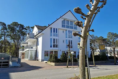 Graugans: 48m², 2-Raum, 4 Pers.