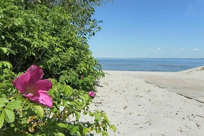Appartamento Vacanza con famiglia Barendorf