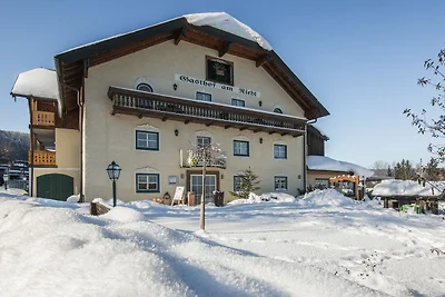 Albergo Cultura ed escursioni Koppl Salzburg