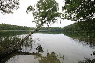apartman za odmor Obiteljski odmor Wesenberg