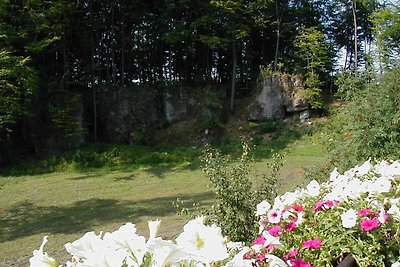 Hotel Cultuur en bezienswaardigheden Obertrubach