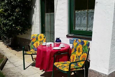 Vakantieappartement Gezinsvakantie Finkenberg im Zillertal
