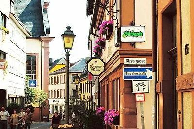 Vakantieappartement Gezinsvakantie Marktheidenfeld