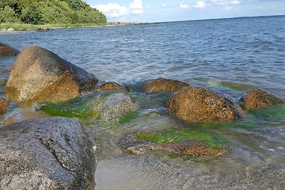 Appartement Seestern