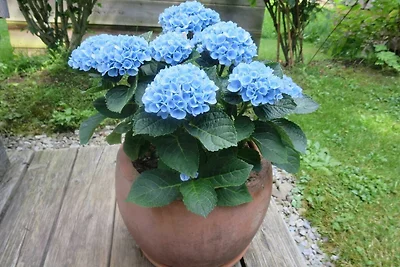 Ferienwohnung für 2 bis 4 Personen