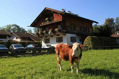 Ferienwohnung Nr. 3