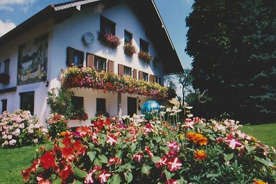 Appartment Zi 1 u. 4 (2-max. 3 Pers.)