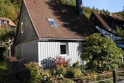 Vakantiehuis Ontspannende vakantie Wieda