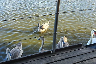 Floating House SteelVoll mit Infratotsauna