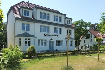 Schwarzer Bär Whg. Bär 02