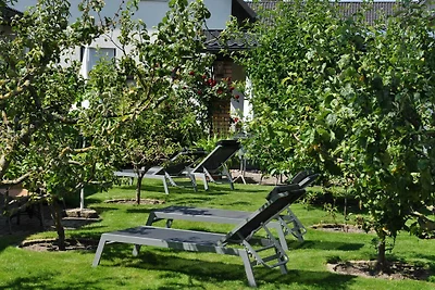 Appartement Vacances avec la famille Trassenheide