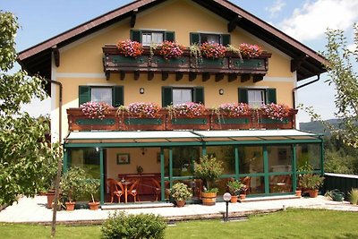 Appartamento Vacanza con famiglia Zell am Moos