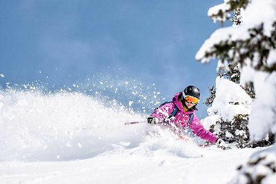 Appartamento Vacanza con famiglia Dorfgastein