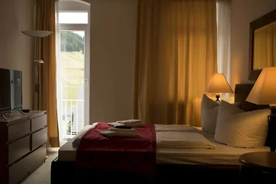 Hotel Cultuur en bezienswaardigheden Oberwiesenthal