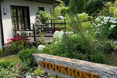 Vakantieappartement Gezinsvakantie Lohme
