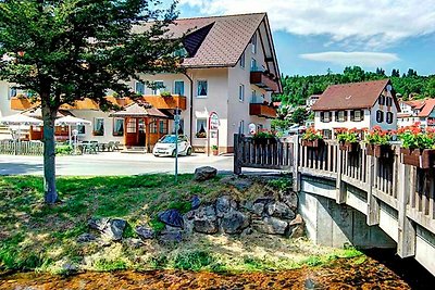 Hotel Cultuur en bezienswaardigheden Lenzkirch