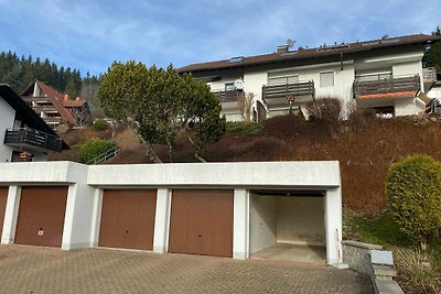 Vakantieappartement Gezinsvakantie Lenzkirch