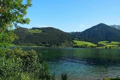 Appartamento Vacanza con famiglia Walchsee