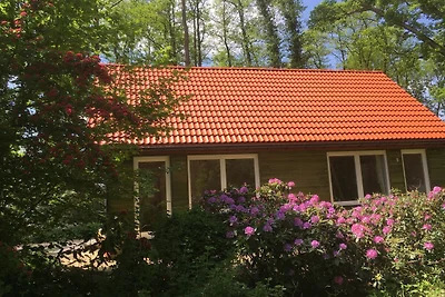 Holiday flat family holiday Worpswede