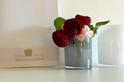 Fortezza/castello Villaggi e club vacanze Gross-Mohrdorf