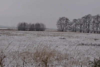 Bungalow mit grossem Balkon
