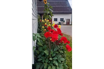Vakantieappartement Gezinsvakantie Eisenberg