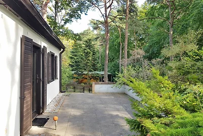 Strandhaus auf der Düne 1. Reihe