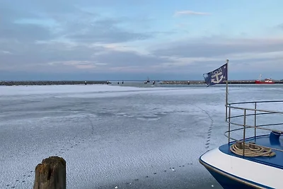 Tiny Haus C235 Wacholderdrossel