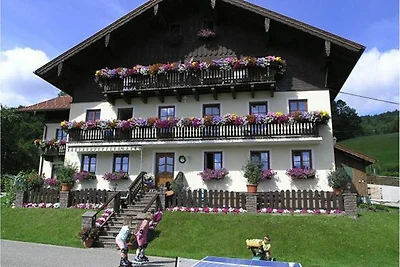 Appartamento Vacanza con famiglia Mondsee