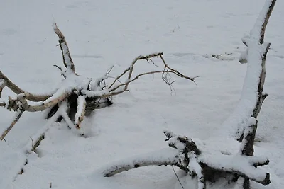 Ferienwohnung Segelkoje