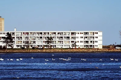 Steinwarder 33 EG Wohnung 1