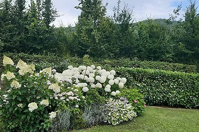 Mondseeblick - Balkon