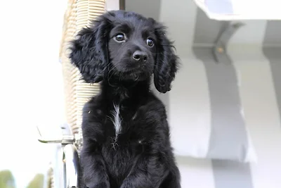 Vakantieappartement Gezinsvakantie Kalkhorst