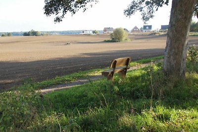 Vakantiehuis Ontspannende vakantie Alt Schwerin