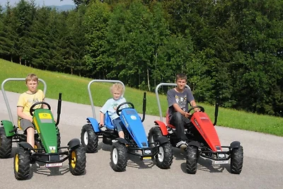 Ferienwohnung Wolfgangsee