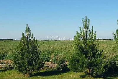 Ferienwohnung Frieslandblick