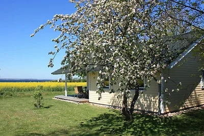 Vakantiehuis Ontspannende vakantie Gelting