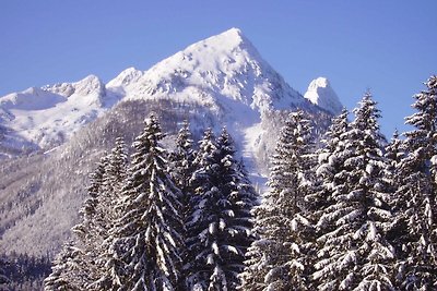 Vakantieappartement Gezinsvakantie Annaberg im Lammertal
