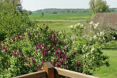 Vakantieappartement Gezinsvakantie Bendhof