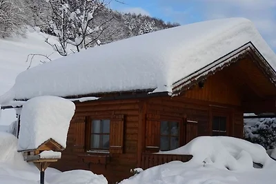 Ferienwohnung Schafbergblick
