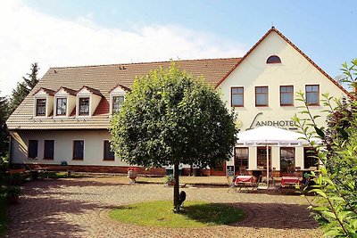 Hotel Cultuur en bezienswaardigheden Elsterheide