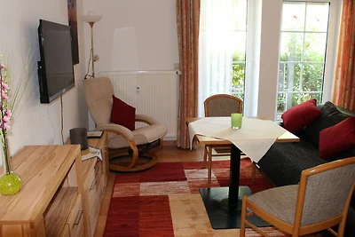 Albergo Cultura ed escursioni Dierhagen