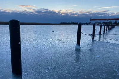 Tiny Haus C235 Wacholderdrossel