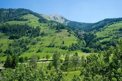 Hotel cultural and sightseeing holiday Rauris