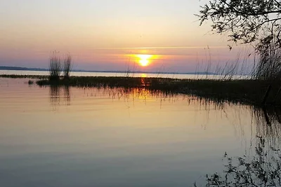 Vakantiehuis Ontspannende vakantie Rankwitz