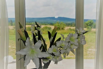 Apartment Harz-Relax