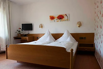 Albergo Cultura ed escursioni Schliengen