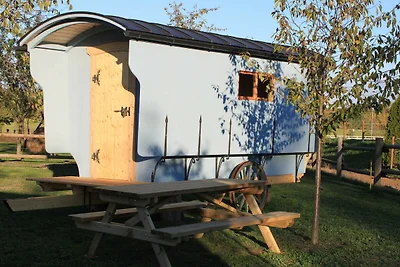 Schäferwagen 2