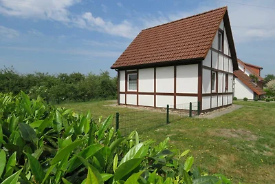 Albergo Cultura ed escursioni Hollern-Twielenfleth